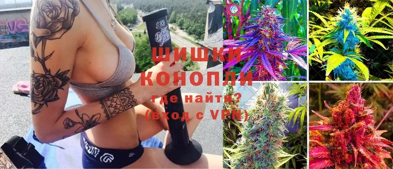 цена   Адыгейск  МАРИХУАНА Ganja 